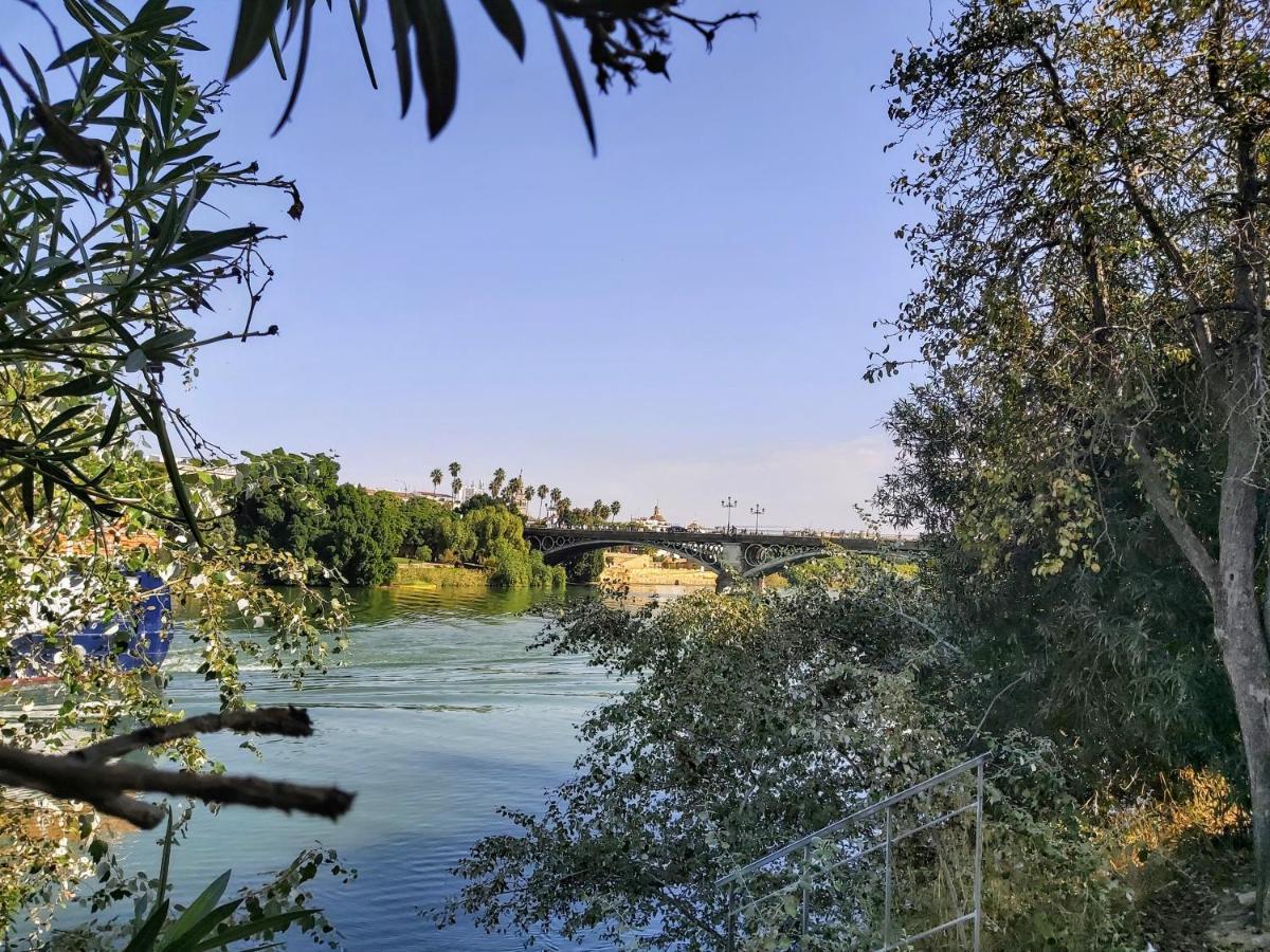 شقة Triana Procurador Con Terraza Privada إشبيلية المظهر الخارجي الصورة